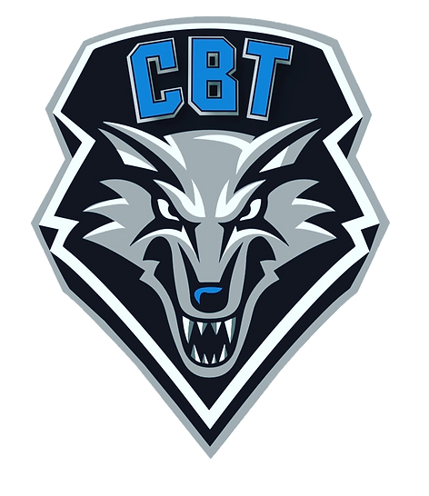 CBT baseball tournaments - elite - cavaiani baseball - BaseballConnected