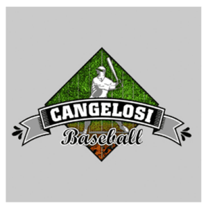 Cangelosi Sparks Travel Baseball-Illinois travel baseball-BaseballConnected