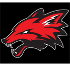 Yorkville Foxes Travel Baseball Team Illinois