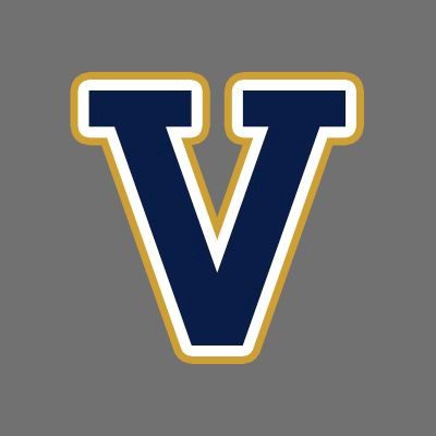 Vipers-Logo