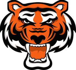 Rawlings Tigers St. Louis Travel Baseball