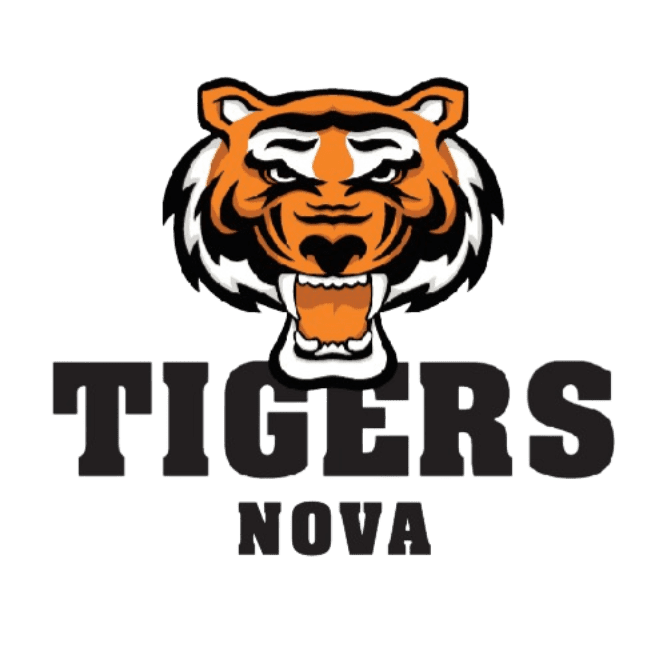 city-fierce-tigers-3.pdf