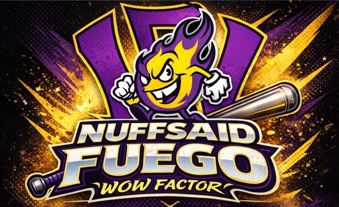 NSSA-Wow-Factor-logo
