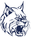 Wildcat-color-1D2951