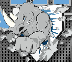Rhino Travel Baseball Illinois 1